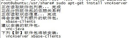 ubuntu下安裝VNC遠(yuǎn)程桌面的詳細(xì)步驟