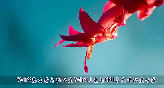 Win8系統中怎么看電腦配置情況？Win8.1查看CPU與顯卡配置方法介紹