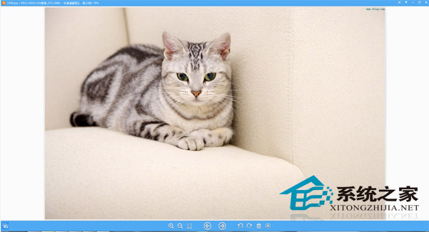 讓W(xué)in8看圖默認(rèn)呈現(xiàn)最大化不想點(diǎn)擊最大化按鈕