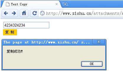復制Input內容的js代碼_支持所有瀏覽器，修正了Firefox3.5以上的問題