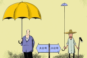 大公司？小公司？我的經(jīng)歷和建議